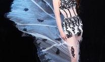 舞帝小妍希爆料最新视频,introductions and revelations