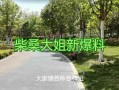 柴桑大姐爆料最新进展,揭秘事件背后惊人真相！