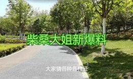 柴桑大姐爆料最新进展,揭秘事件背后惊人真相！