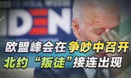 欧盟峰会爆料最新消息今天,关键议题与决策前瞻