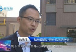 惠阳秋长最新爆料,揭秘神秘项目背后的真相