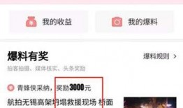 最新爆料头条世家,揭秘最新爆料背后的世家秘闻