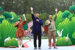 河源婚庆爆料视频大全最新,浪漫瞬间尽收眼底